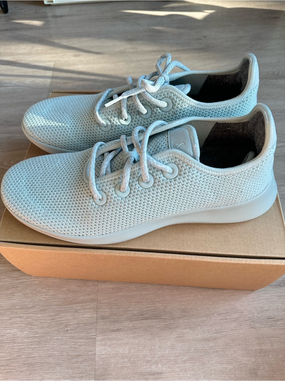 Allbirds tree runner light blue frost, men’s 8 // women’s 9.5, new in box